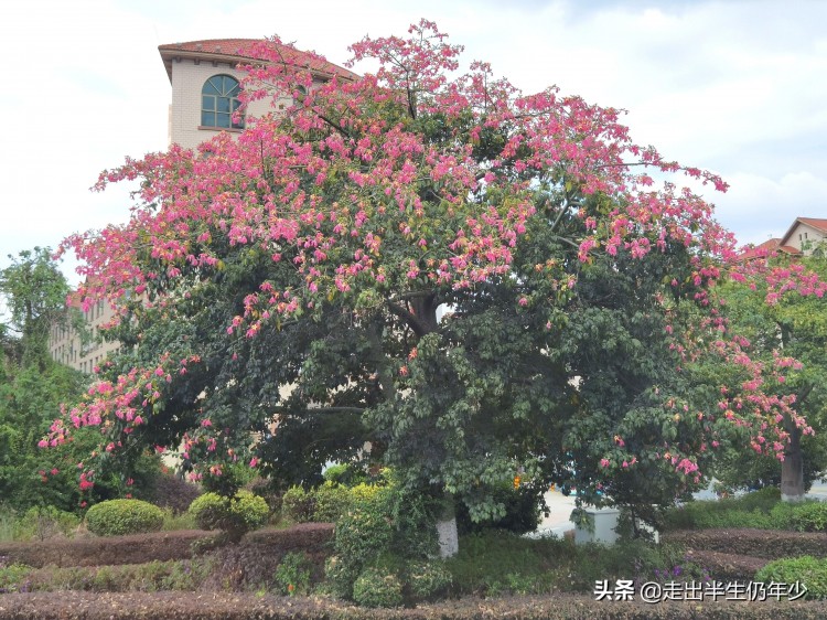 我的旅游日记广东泉城丰顺温泉两天游